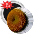 Yellow Daisy Detail  3  Magnet (10 pack)