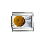 Yellow Daisy Detail  Italian Charm (9mm)