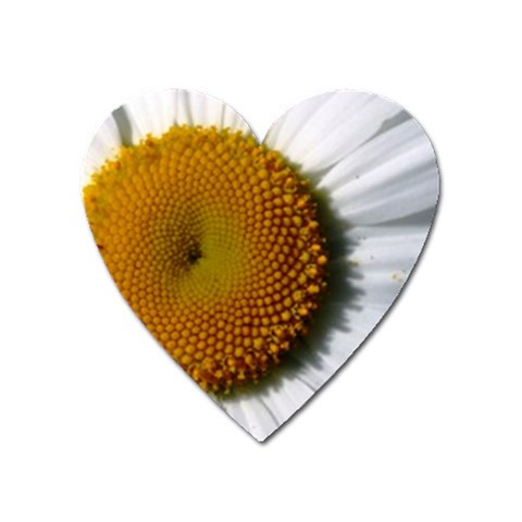 Yellow Daisy Detail  Magnet (Heart) from UrbanLoad.com Front