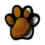 Yellow Daisy Detail  Magnet (Paw Print)