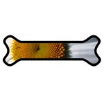 Yellow Daisy Detail  Magnet (Dog Bone)