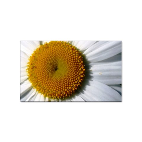 Yellow Daisy Detail  Sticker Rectangular (10 pack) from UrbanLoad.com Front