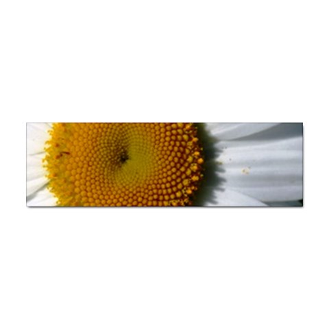 Yellow Daisy Detail  Sticker Bumper (100 pack) from UrbanLoad.com Front