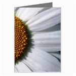 Yellow Daisy Detail  Greeting Card