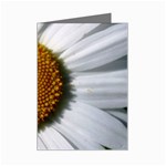 Yellow Daisy Detail  Mini Greeting Cards (Pkg of 8)