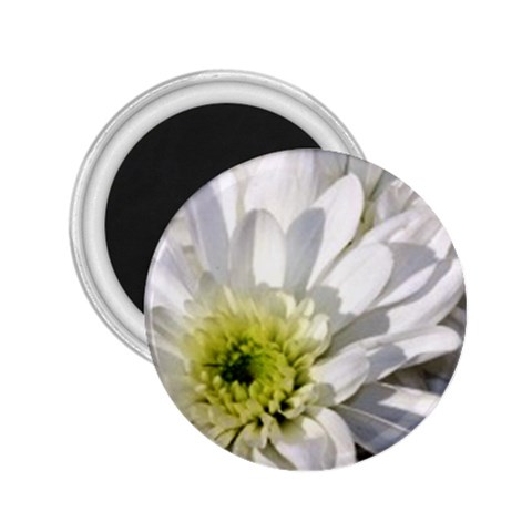 White Flower 1   2.25  Magnet from UrbanLoad.com Front