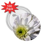 White Flower 1   2.25  Button (100 pack)
