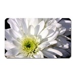 White Flower 1   Magnet (Rectangular)