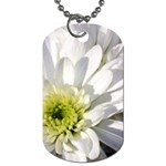 White Flower 1   Dog Tag (One Side)