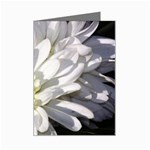 White Flower 1   Mini Greeting Card