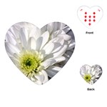 White Flower 1   Playing Cards (Heart)