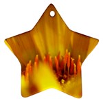 Yellow Color Flower   Ornament (Star)