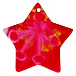 What inside Flowers  Ornament (Star)