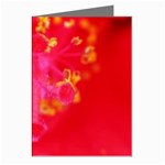 What inside Flowers  Greeting Cards (Pkg of 8)