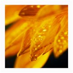 Wet Yellow Flowers 1   Glasses Cloth (Medium)