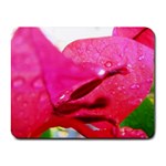 Wet Pink Rose  Small Mousepad