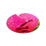 Wet Pink Rose  Sticker Oval (10 pack)