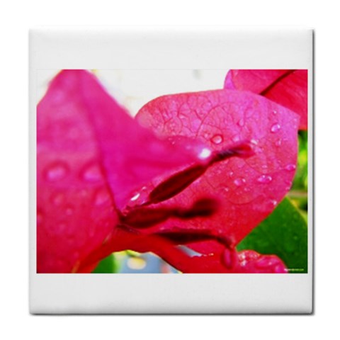 Wet Pink Rose  Face Towel from UrbanLoad.com Front