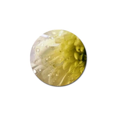 Water Drops on Flower 4  Golf Ball Marker (10 pack) from UrbanLoad.com Front