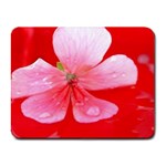 Water and Pink Flower  Small Mousepad