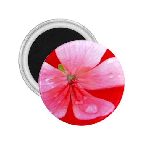 Water and Pink Flower  2.25  Magnet from UrbanLoad.com Front