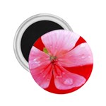 Water and Pink Flower  2.25  Magnet
