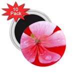 Water and Pink Flower  2.25  Magnet (10 pack)