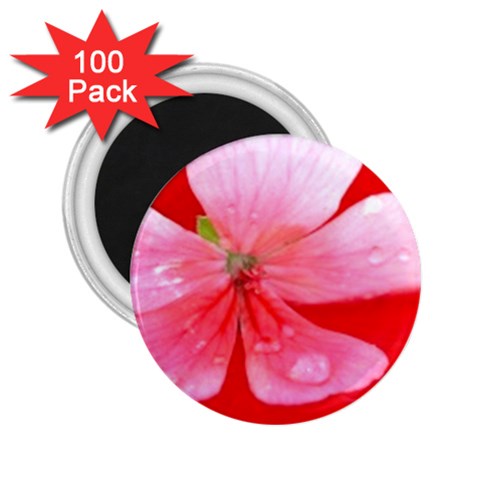 Water and Pink Flower  2.25  Magnet (100 pack)  from UrbanLoad.com Front
