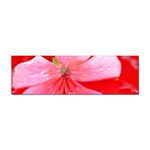 Water and Pink Flower  Sticker Bumper (100 pack)