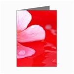 Water and Pink Flower  Mini Greeting Card