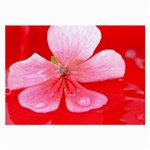 Water and Pink Flower  Glasses Cloth (Large)