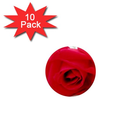 Very Red Rose  1  Mini Magnet (10 pack)  from UrbanLoad.com Front