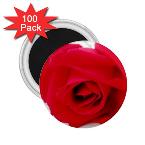 Very Red Rose  2.25  Magnet (100 pack)  from UrbanLoad.com Front