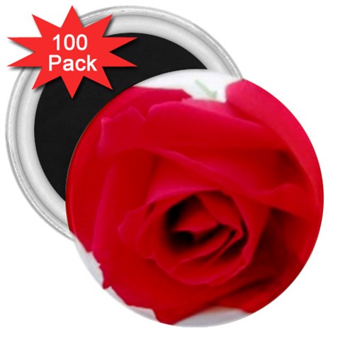 Very Red Rose  3  Magnet (100 pack) from UrbanLoad.com Front