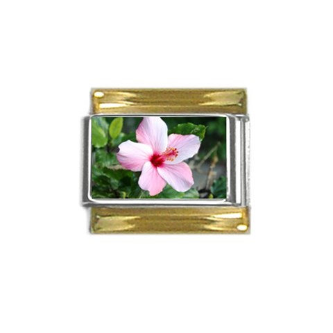 Very Pink Flower  Gold Trim Italian Charm (9mm) from UrbanLoad.com Front