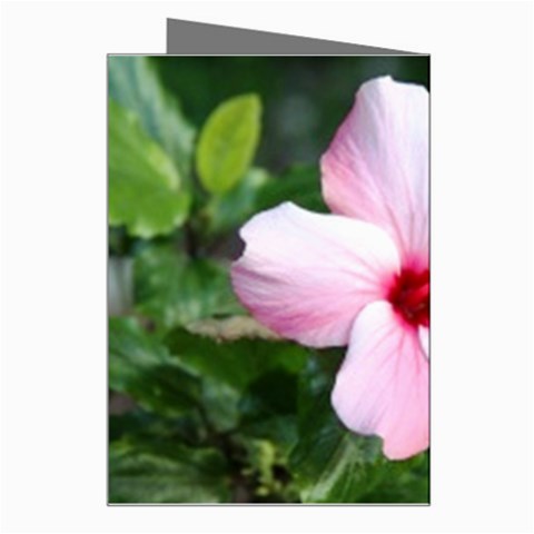 Very Pink Flower  Greeting Card from UrbanLoad.com Right