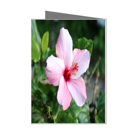 Very Pink Flower  Mini Greeting Cards (Pkg of 8) from UrbanLoad.com Left
