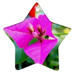 Trangle Flower  Ornament (Star)