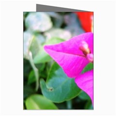 Trangle Flower  Greeting Cards (Pkg of 8) from UrbanLoad.com Right