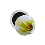 The White Flower  1.75  Magnet
