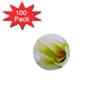 The White Flower  1  Mini Button (100 pack) 