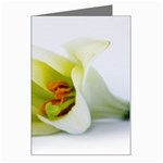 The White Flower  Greeting Card