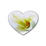 The White Flower  Heart Coaster (4 pack)