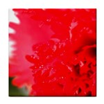 The Red Flower 5  Tile Coaster