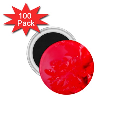 The Red Flower 5  1.75  Magnet (100 pack)  from UrbanLoad.com Front