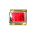 The Red Flower 5  Gold Trim Italian Charm (9mm)