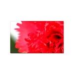 The Red Flower 5  Sticker Rectangular (10 pack)