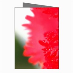 The Red Flower 5  Greeting Cards (Pkg of 8) from UrbanLoad.com Right