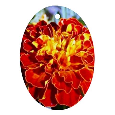 The Red Flowers  Ornament (Oval) from UrbanLoad.com Front