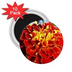 The Red Flowers  2.25  Magnet (10 pack)